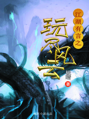 cover image of 江湖有言之玩尽风云